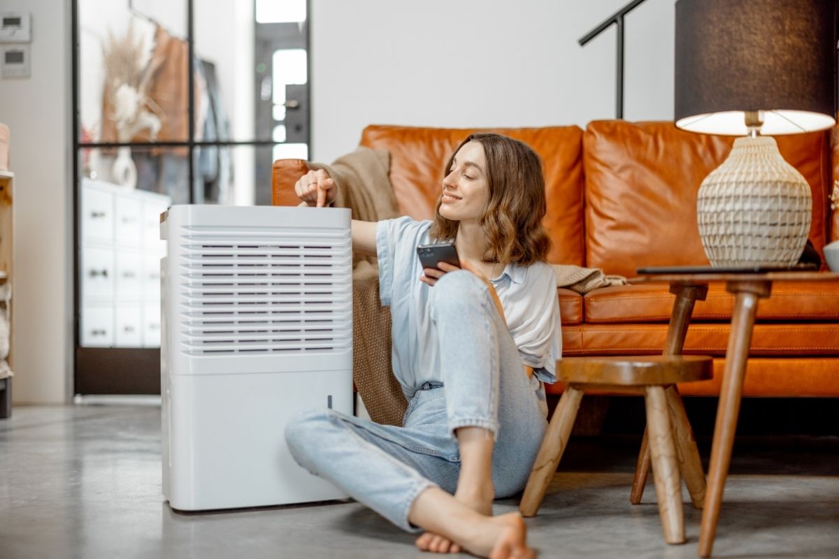 A Beginner's Guide To Choosing The Right Air Purifier For Your Needs