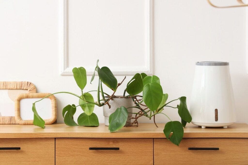 Best Smart Air Purifiers For Your Home