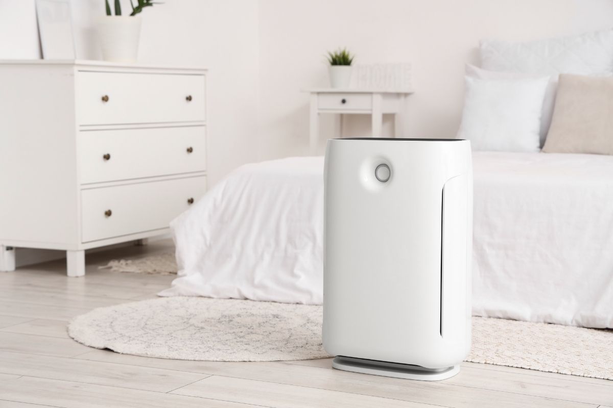 A Beginner's Guide To Choosing The Right Air Purifier For Your Needs