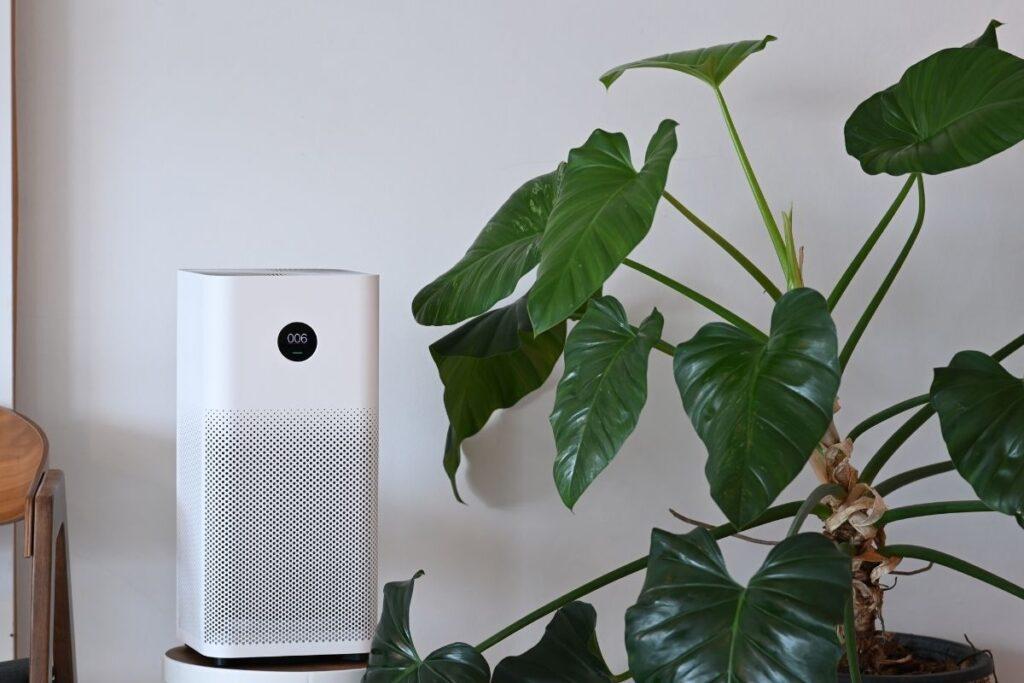 The Ultimate Guide To Improving Indoor Air Quality At Home