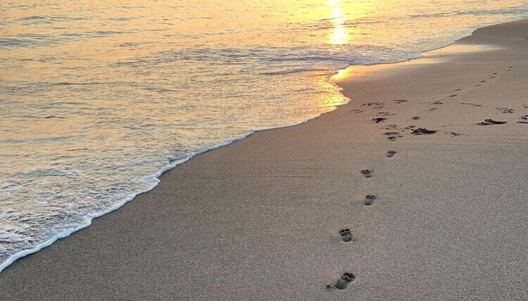 grounding feet in the sand 