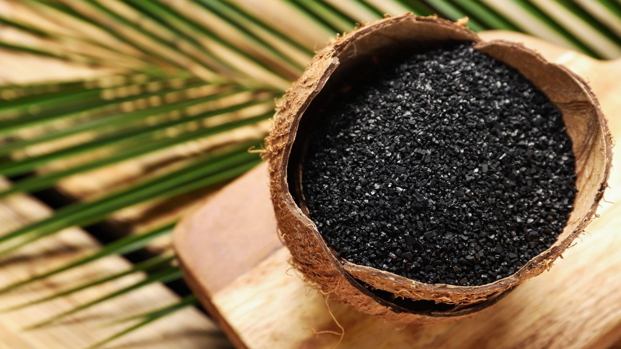 Activated carbon filter pores trapping odor molecules